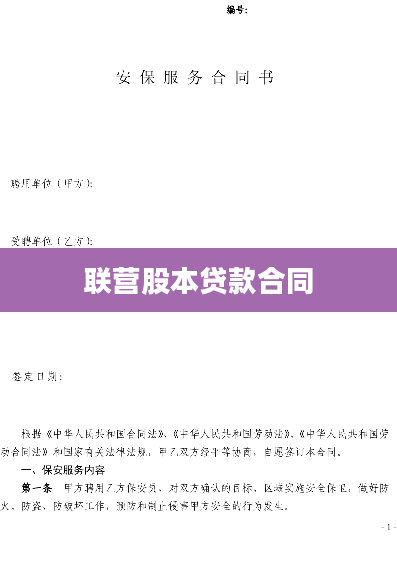 联营股本贷款合同