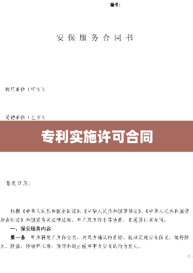 专利实施许可合同