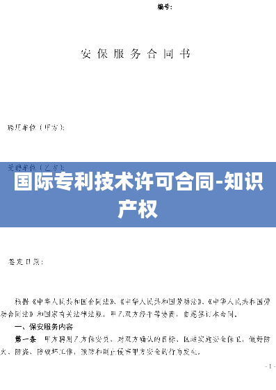 国际专利技术许可合同-知识产权