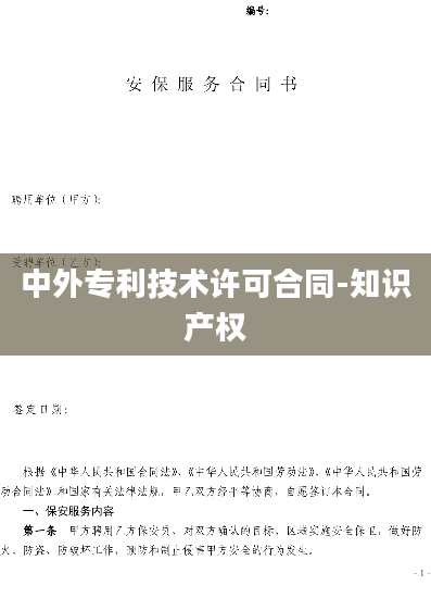 中外专利技术许可合同-知识产权