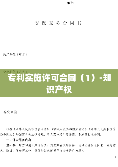 专利实施许可合同（1）-知识产权