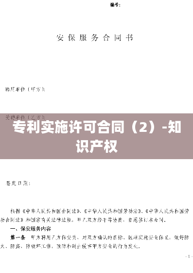 专利实施许可合同（2）-知识产权