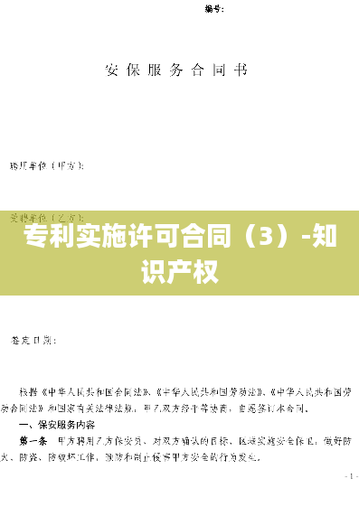 专利实施许可合同（3）-知识产权