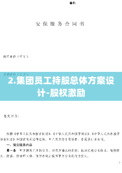 2.集团员工持股总体方案设计-股权激励