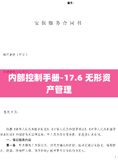 内部控制手册-17.6 无形资产管理