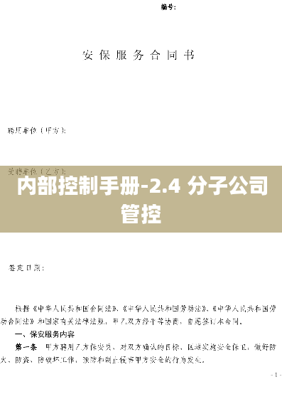 内部控制手册-2.4 分子公司管控