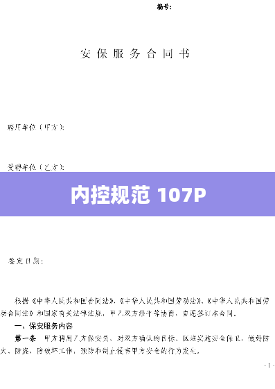 内控规范 107P